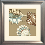 Small Shell Trio on Khaki III
