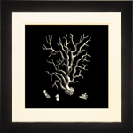 Black & Tan Coral I
