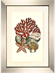Small Coral Medley I